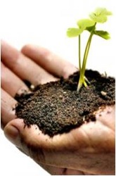 Growth